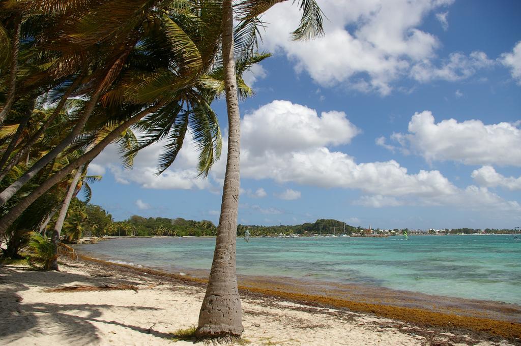Kaz Creole Aventure Tropicale Insolite, Fibre, Jardin Et Jacuzzi Prives Saint-Francois  Exterior foto